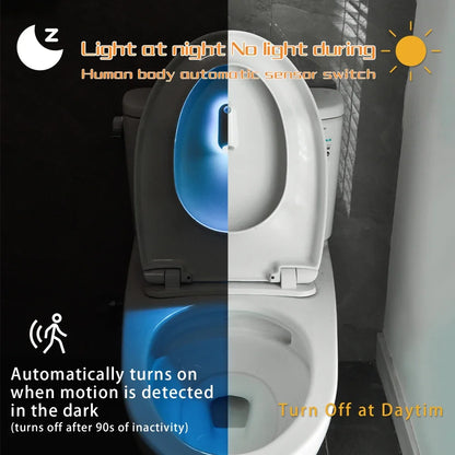 Waterproof Lamp for Toilet Step Lighting